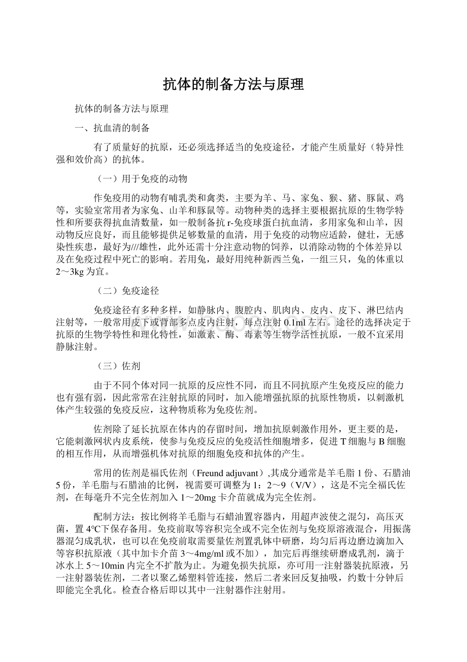 抗体的制备方法与原理Word格式文档下载.docx