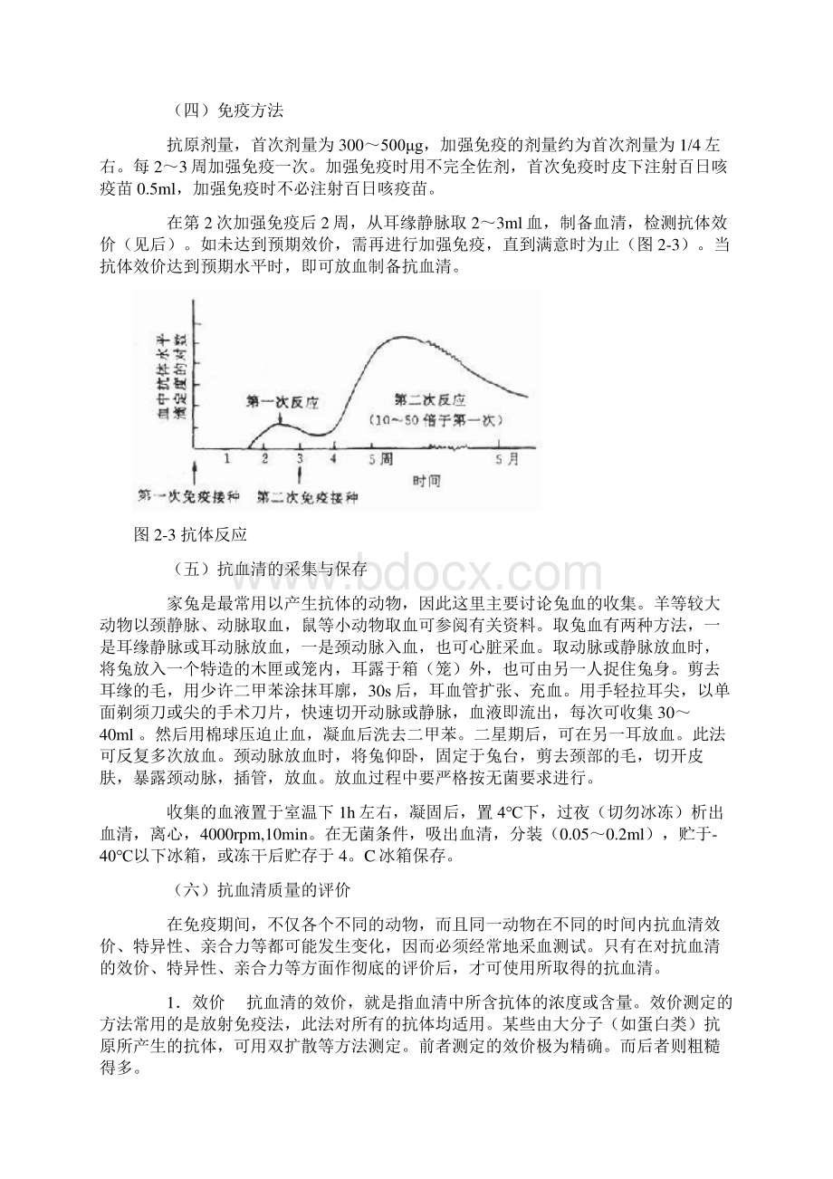 抗体的制备方法与原理Word格式文档下载.docx_第2页