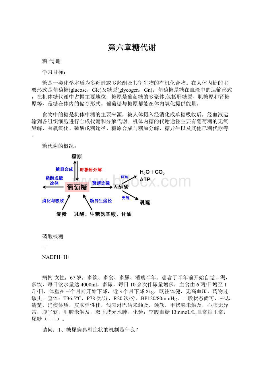 第六章糖代谢.docx_第1页