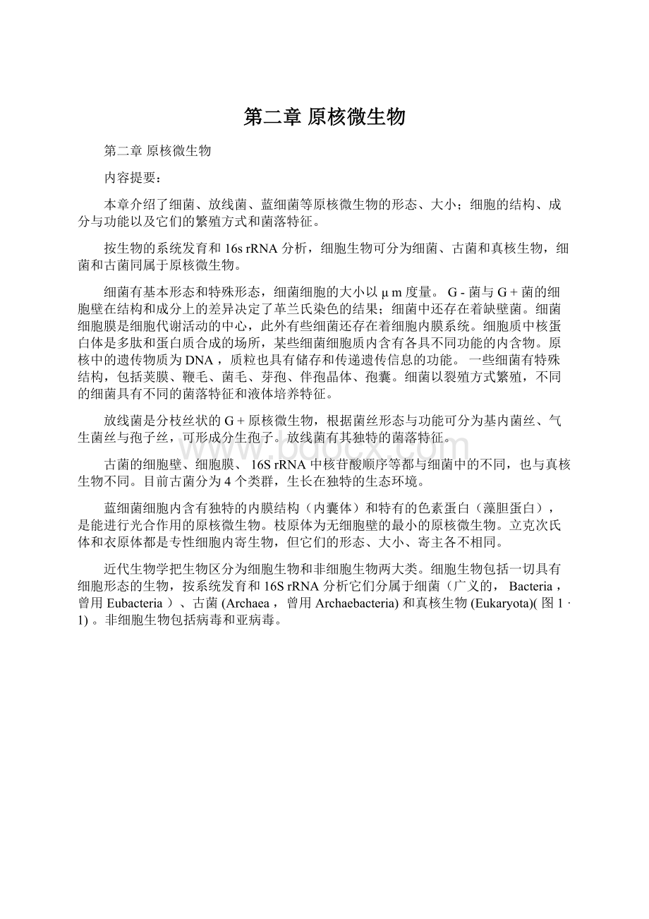 第二章原核微生物Word格式文档下载.docx