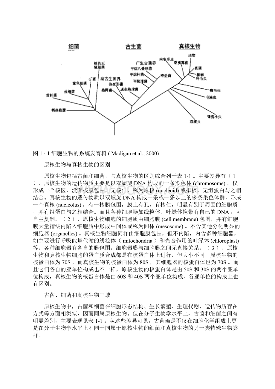 第二章原核微生物.docx_第2页