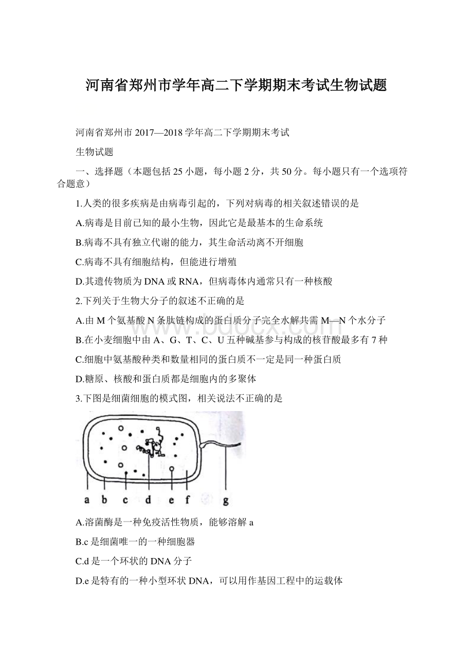 河南省郑州市学年高二下学期期末考试生物试题.docx