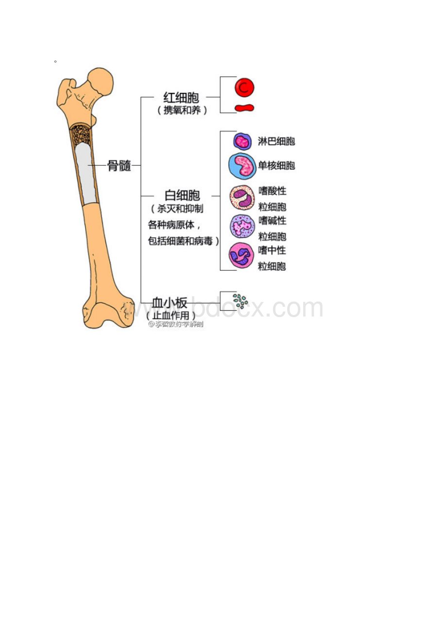 给医学插上翅膀骨科运动篇.docx_第2页