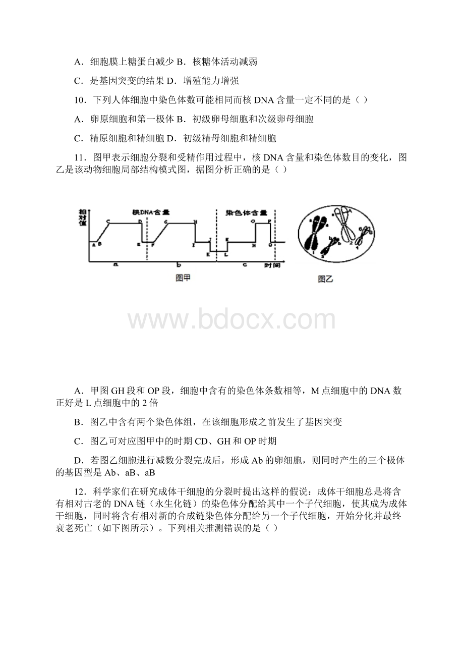 内蒙古包头一中学年高三上学期期中考试生物试题 Word版含答案.docx_第3页