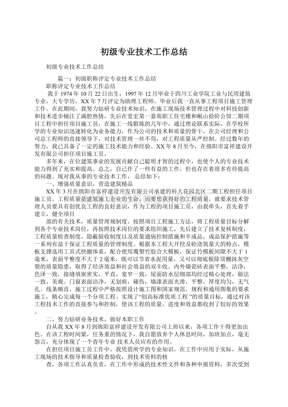 初级专业技术工作总结Word下载.docx