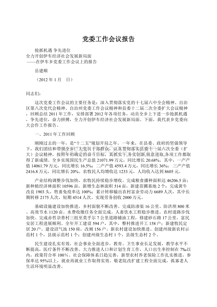 党委工作会议报告文档格式.docx