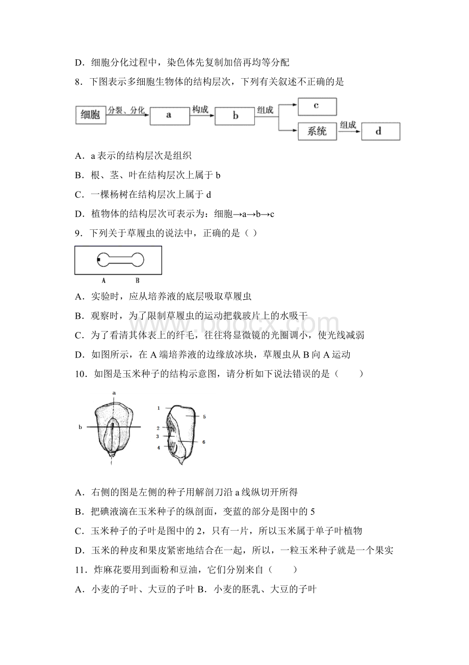 山东省临沂市兰陵县学年七年级上学期期末生物试题.docx_第3页