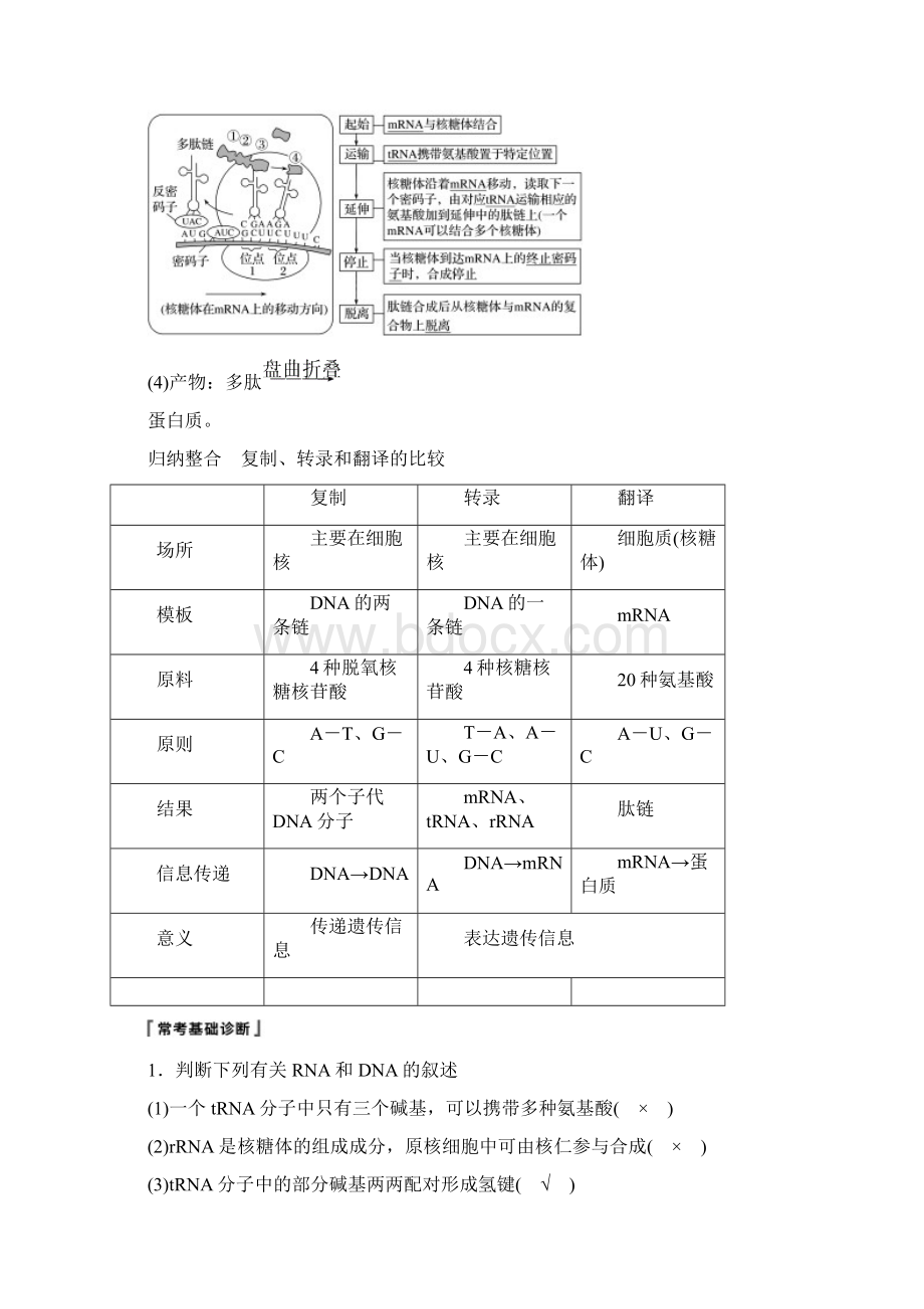 北师大版版高考新导学大一轮复习第五单元遗传的分子基础第16讲遗传信息的表达讲义生物解析版.docx_第3页