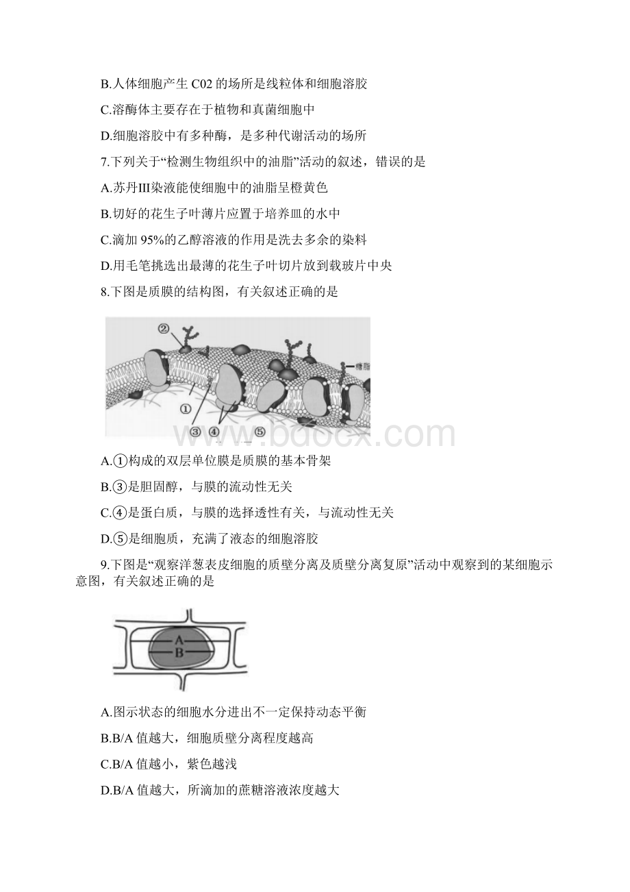 浙江省七彩阳光新高考研究联盟学年高二上学期期中联考生物试题精品.docx_第2页