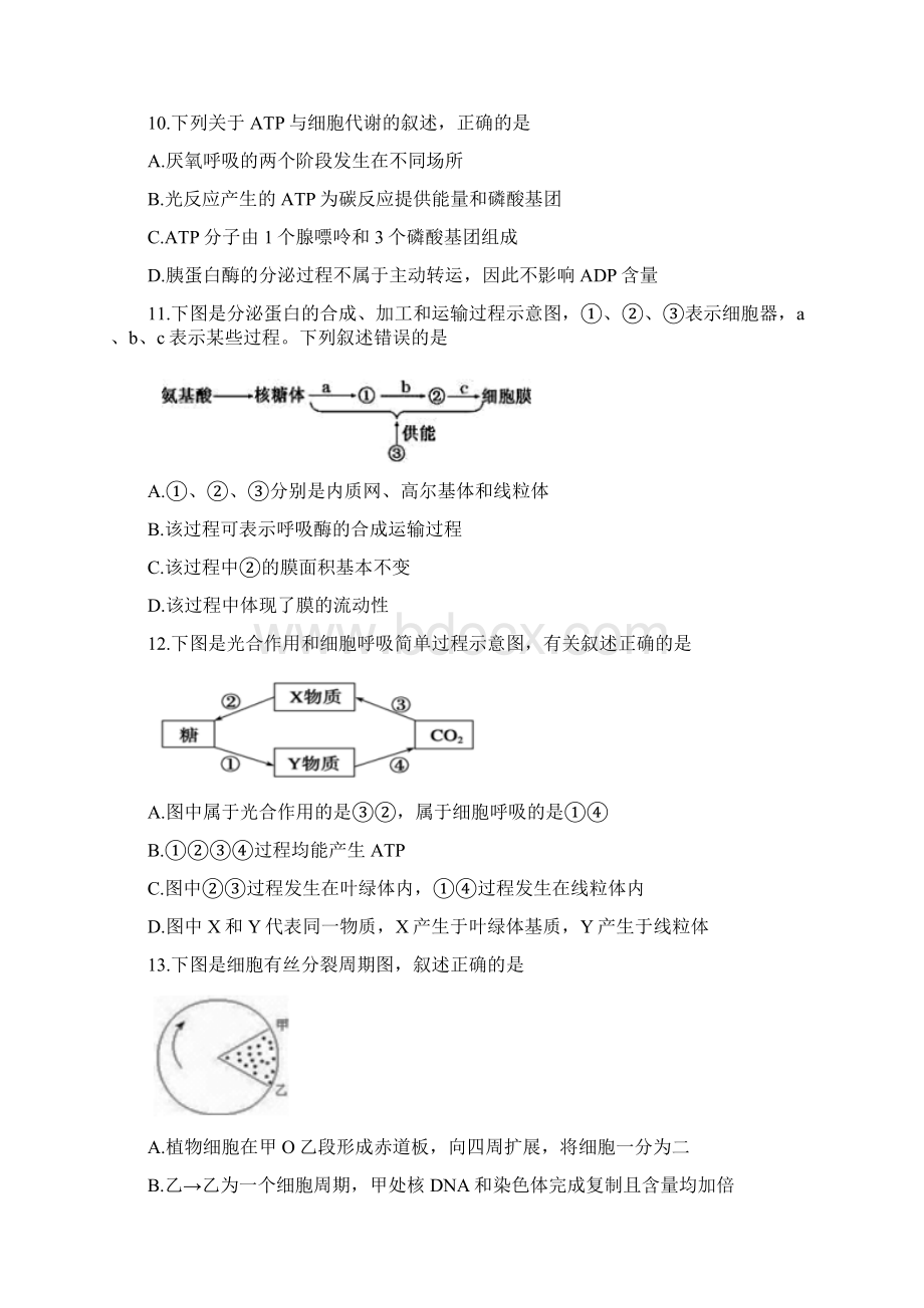 浙江省七彩阳光新高考研究联盟学年高二上学期期中联考生物试题精品Word文档格式.docx_第3页