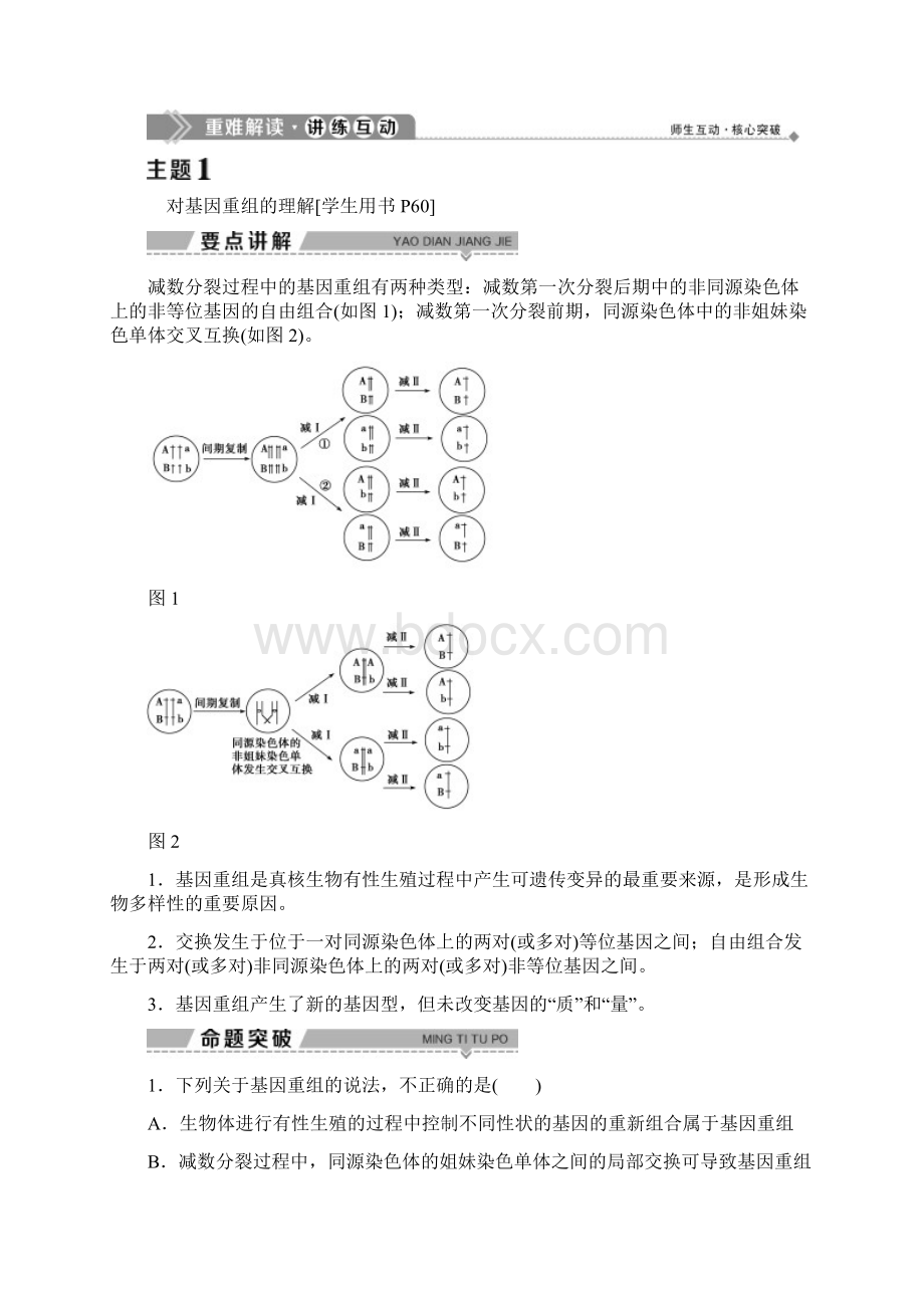 学年高中生物第四章生物变异的来源第1课时基因重组与基因突变学案浙科版文档格式.docx_第3页