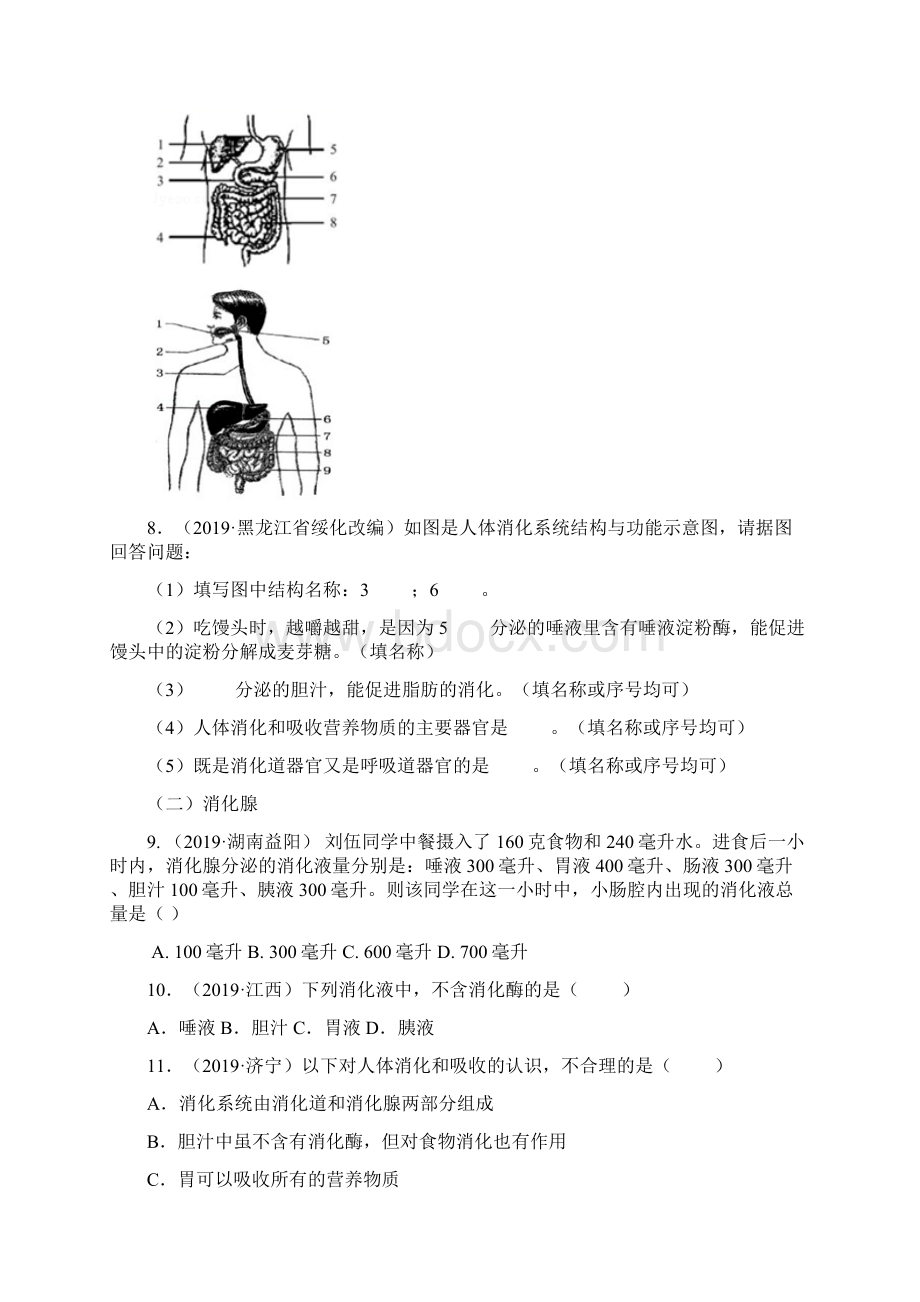 中考生物真题分类第二节消化和吸收含答案Word下载.docx_第2页