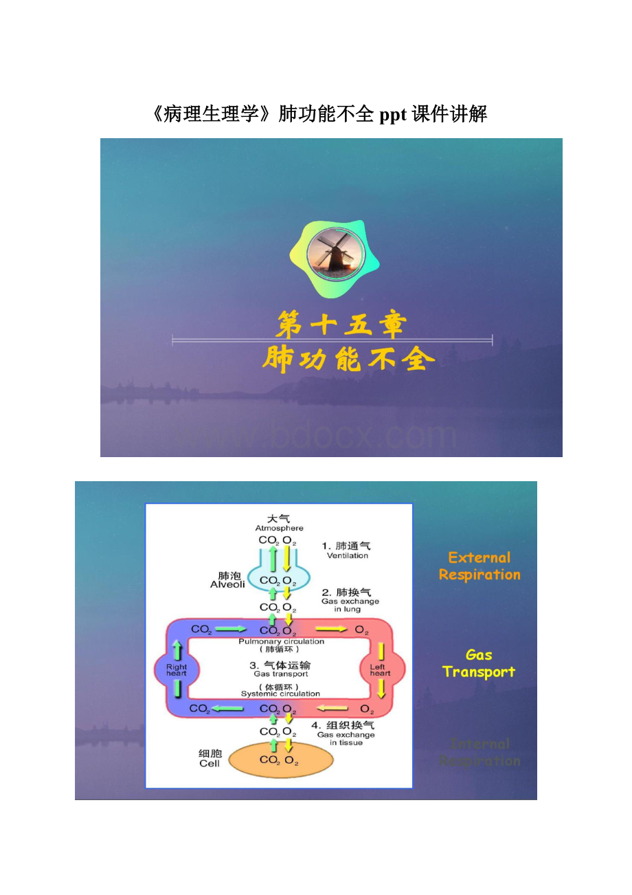 《病理生理学》肺功能不全ppt课件讲解.docx_第1页