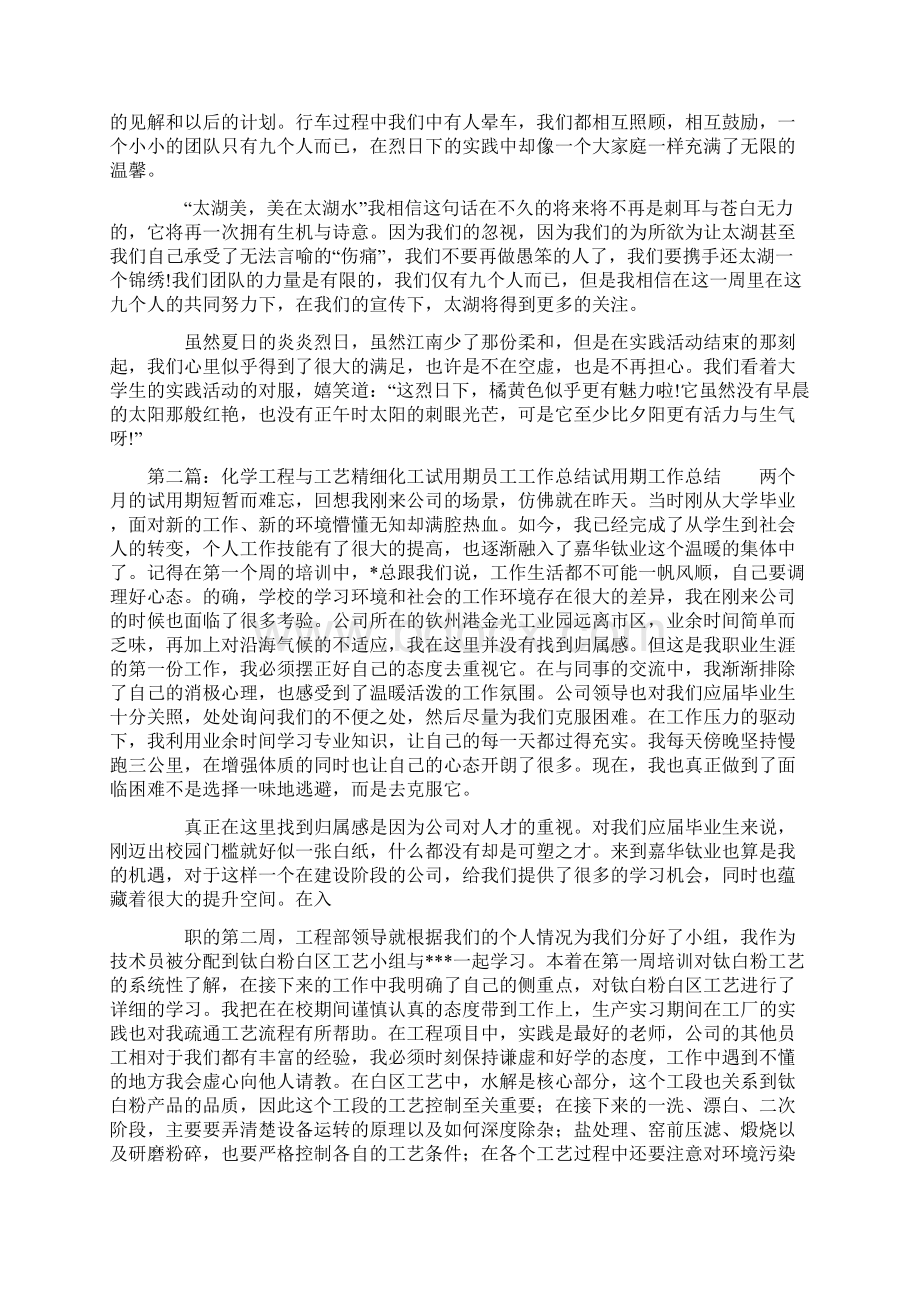 化工厂试用期工作总结文档格式.docx_第2页