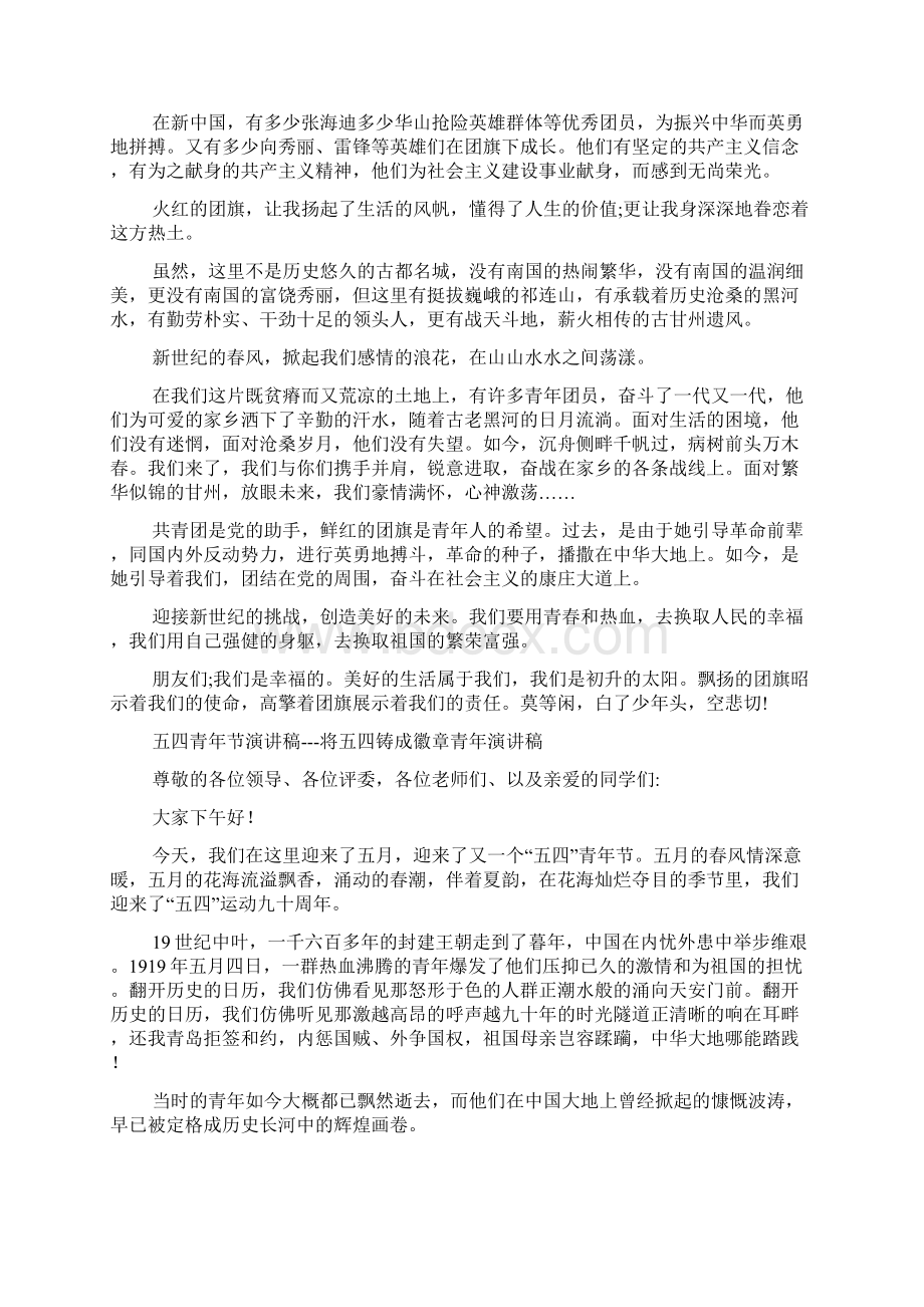 青年演讲稿Word文档下载推荐.docx_第2页