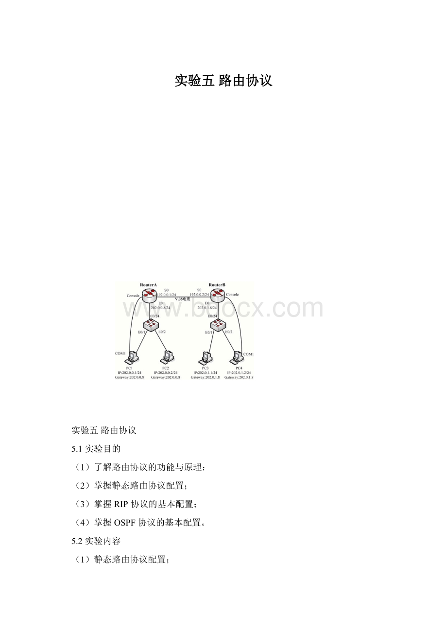 实验五 路由协议.docx