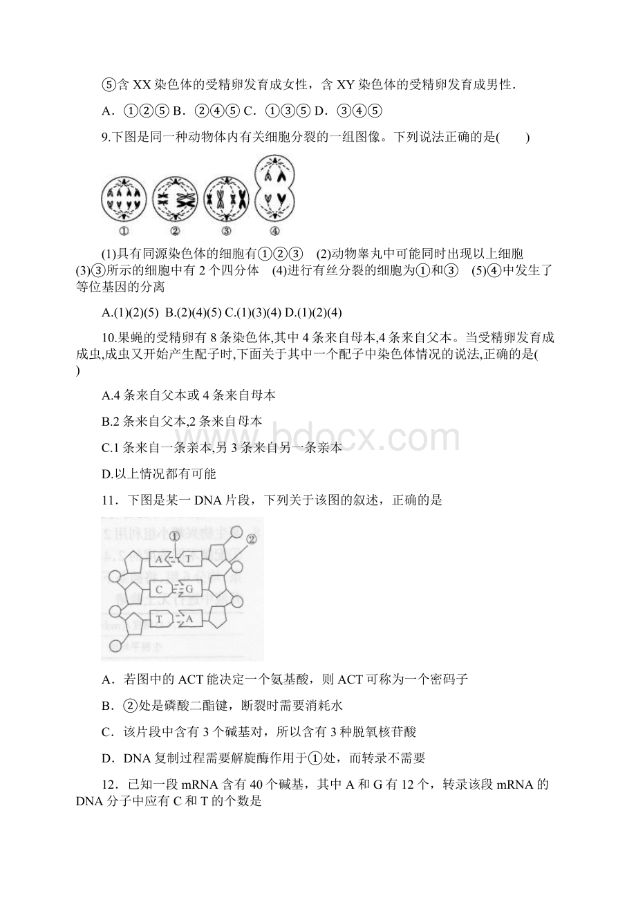 河北省衡水市学年高一下学期期末考试生物试题a卷word版有答案Word文件下载.docx_第3页