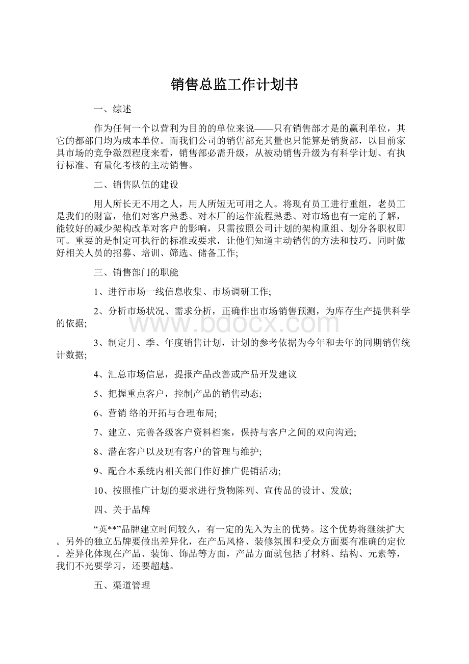 销售总监工作计划书.docx_第1页