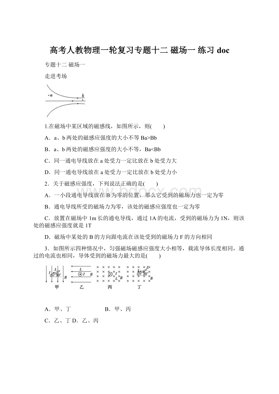 高考人教物理一轮复习专题十二磁场一 练习docWord文件下载.docx_第1页