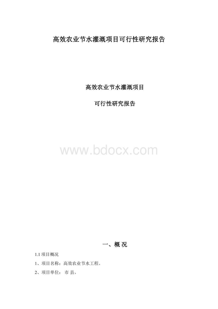 高效农业节水灌溉项目可行性研究报告Word格式文档下载.docx