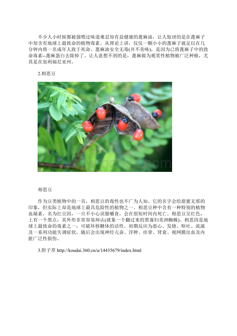 世界上最毒的16种植物组图.docx_第2页