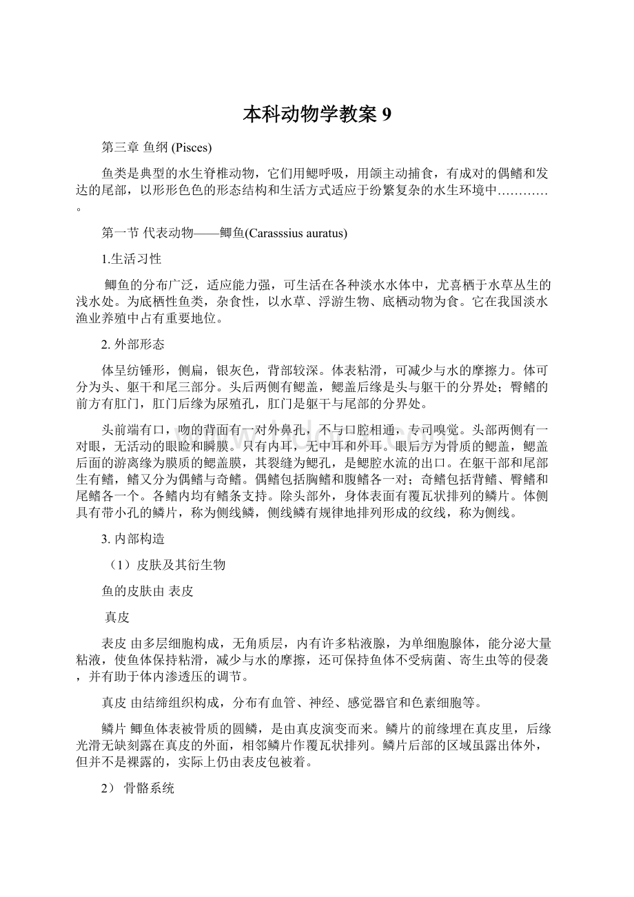 本科动物学教案9Word文档下载推荐.docx