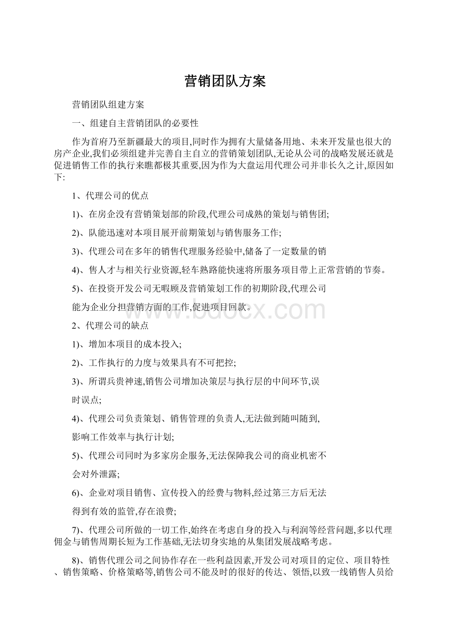 营销团队方案Word文档格式.docx