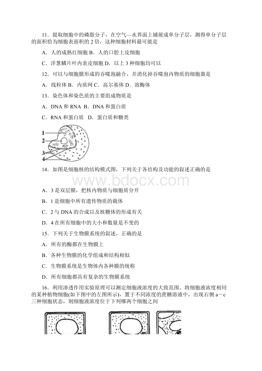 江苏省扬州市学年高一上学期期末考试生物Word版含答案Word格式文档下载.docx_第3页