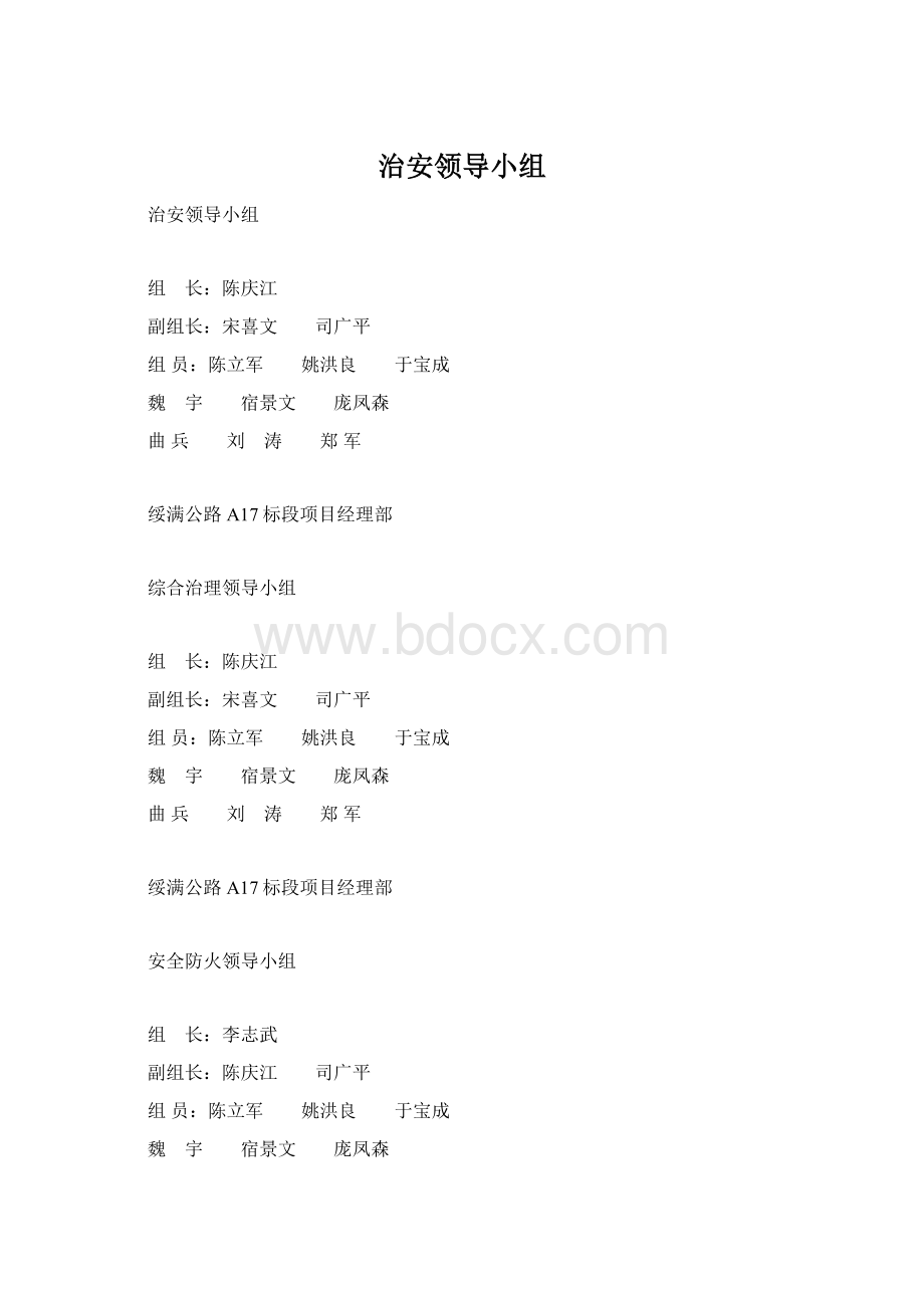 治安领导小组Word格式文档下载.docx