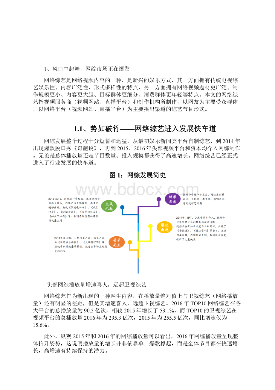 网络综艺行业分析报告.docx_第2页