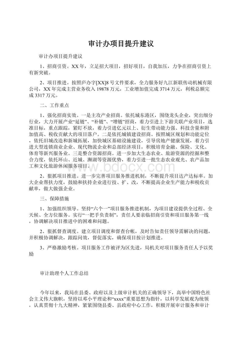 审计办项目提升建议.docx