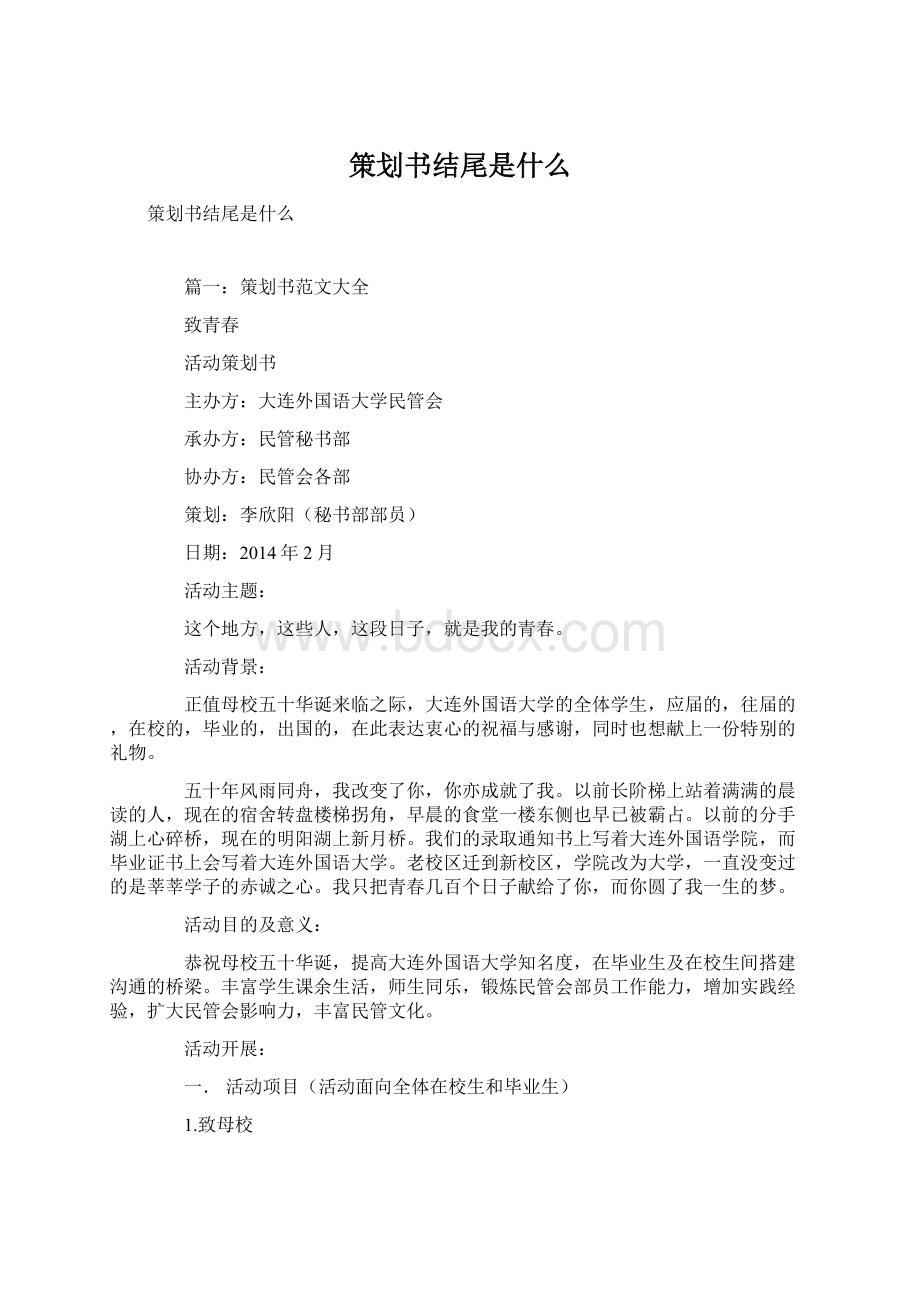 策划书结尾是什么文档格式.docx