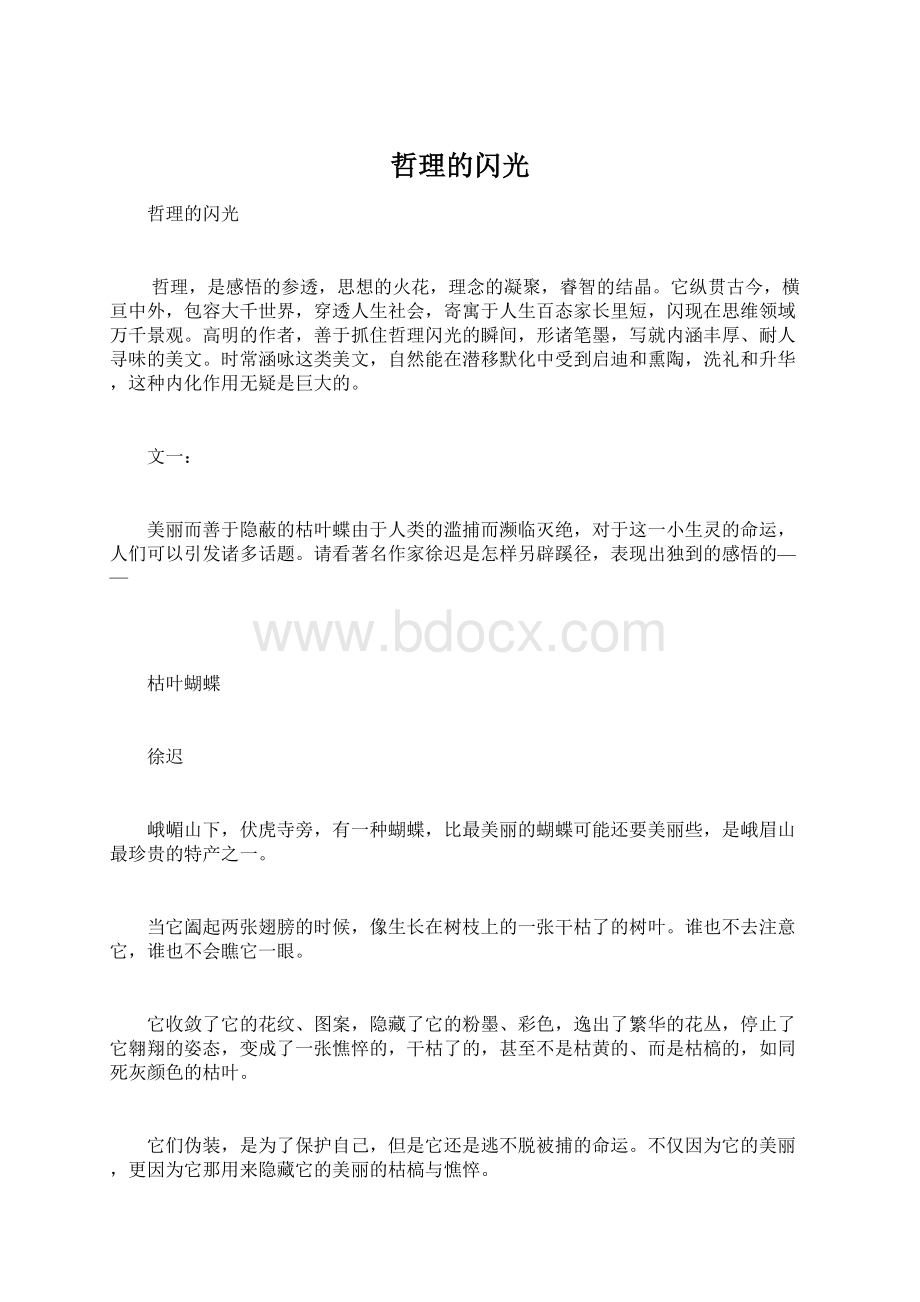 哲理的闪光.docx