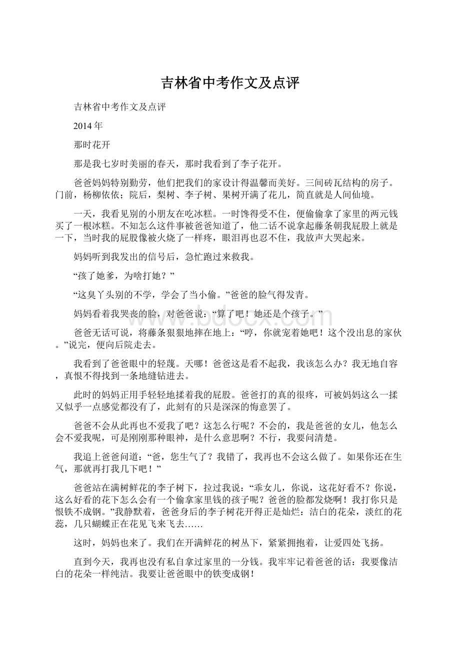 吉林省中考作文及点评文档格式.docx