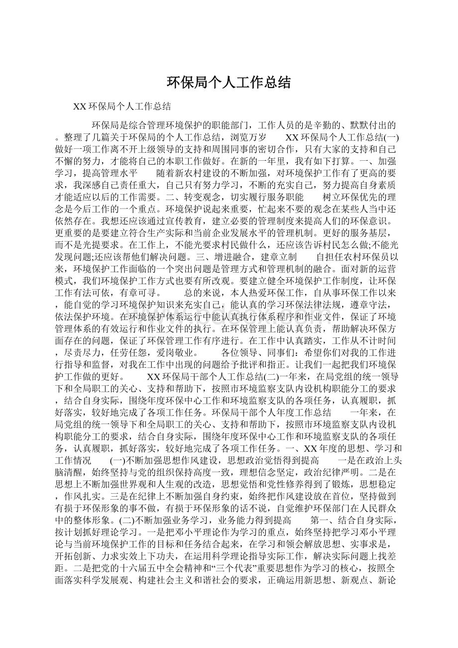 环保局个人工作总结.docx