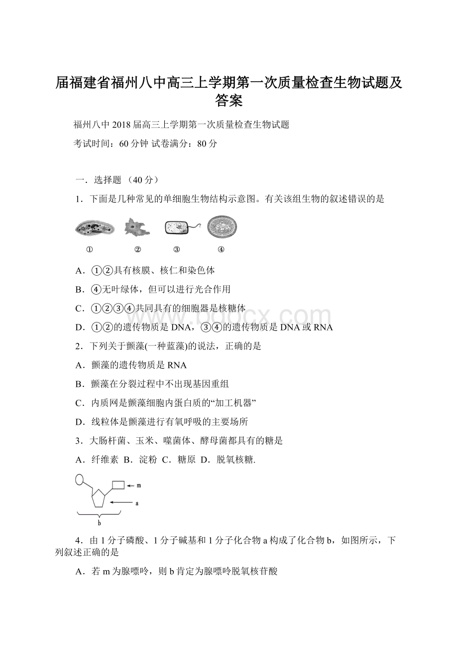 届福建省福州八中高三上学期第一次质量检查生物试题及答案.docx