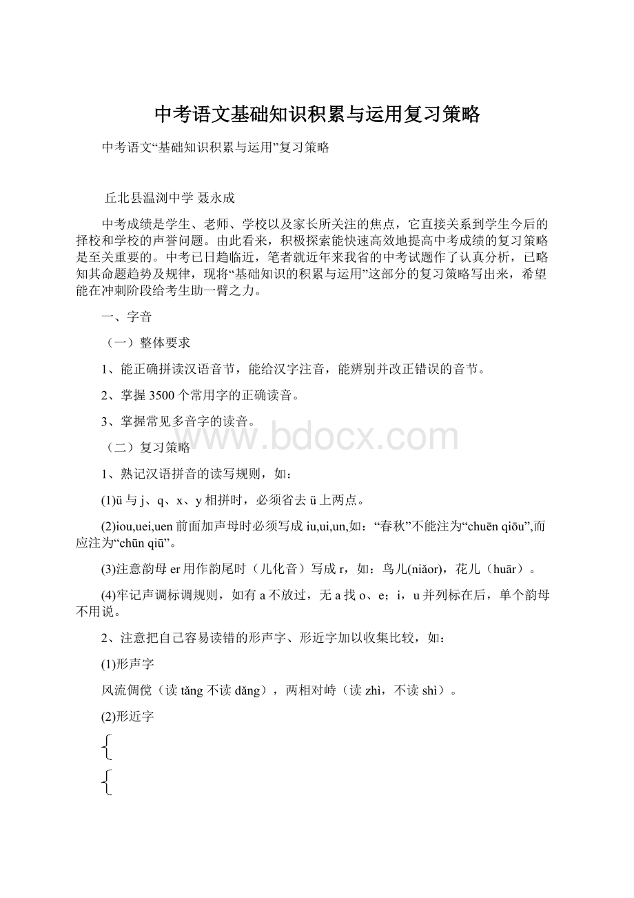 中考语文基础知识积累与运用复习策略.docx