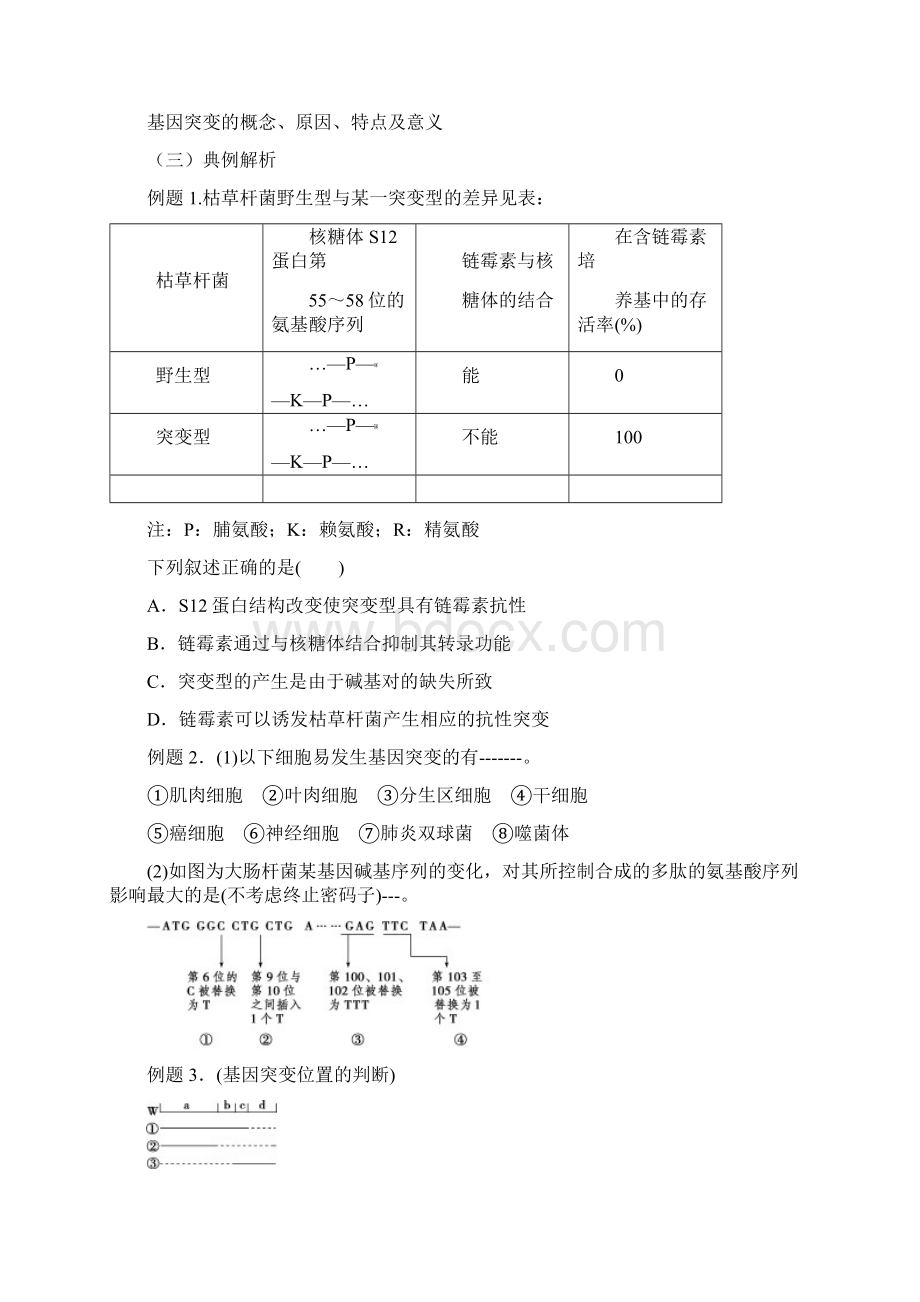 专题十三 基因突变与基因重组Word文件下载.docx_第3页