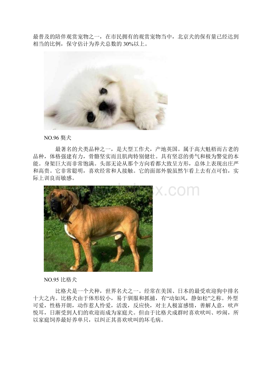 狗帮人OR咬人 世界百大名犬聪明度排行榜Word文件下载.docx_第3页