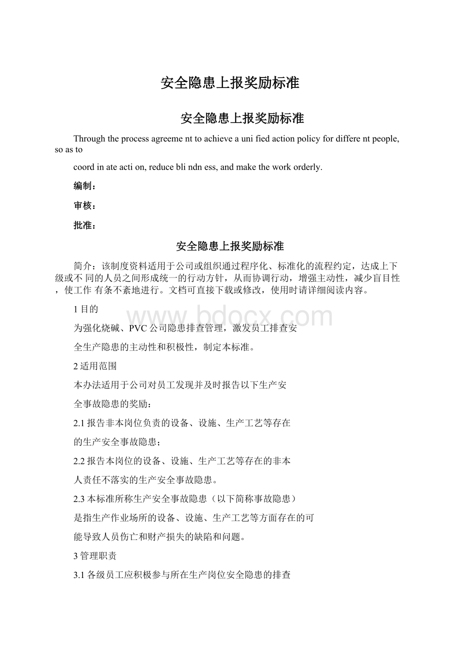 安全隐患上报奖励标准.docx_第1页