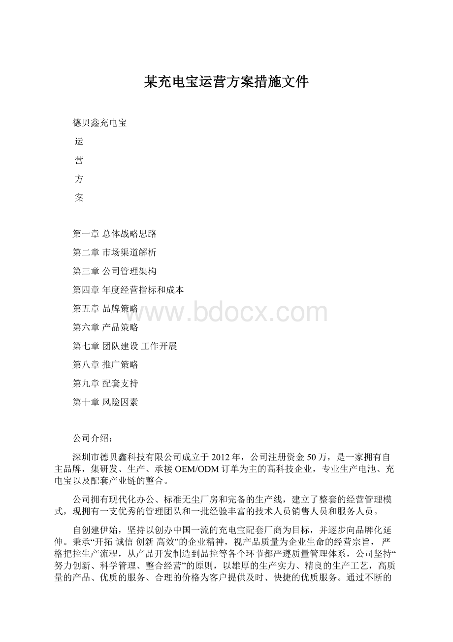 某充电宝运营方案措施文件.docx