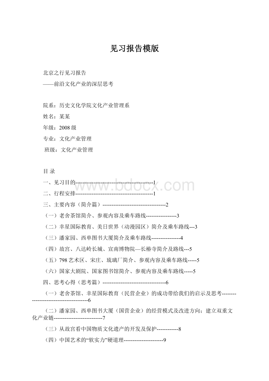 见习报告模版Word下载.docx