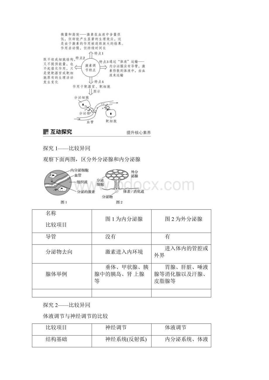 浙江专版版高中生物第二章动物生命活动的调节第5课时人体的内分泌系统下丘脑与垂体教案.docx_第3页