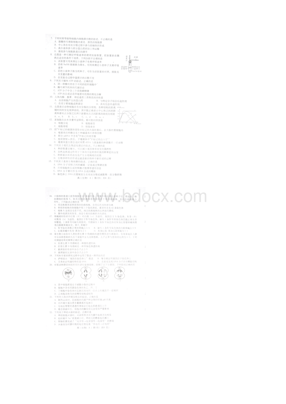 山东省淄博市实验中学届高三上学期期末考试生物试题 扫描版含答案Word文件下载.docx_第2页