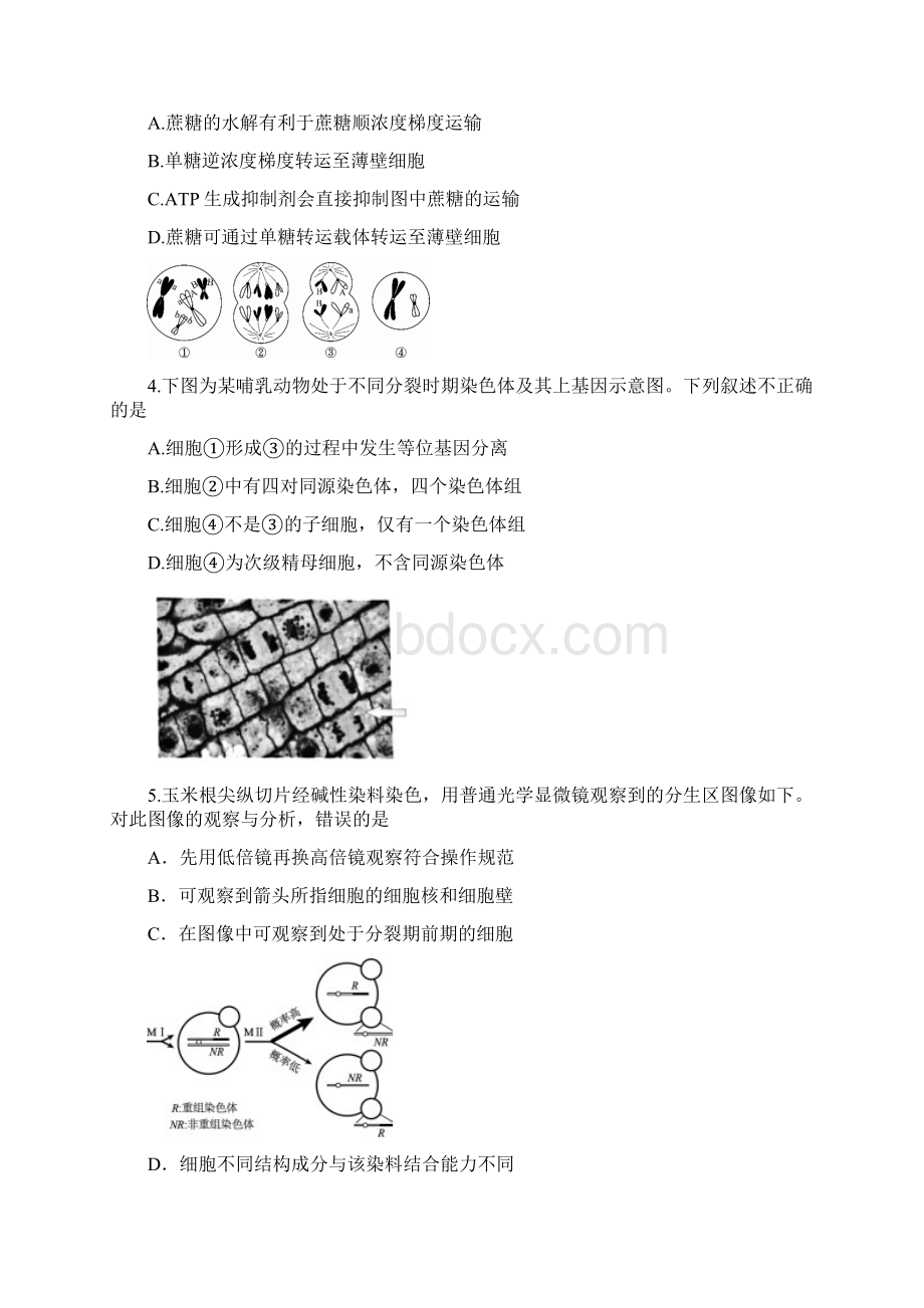 北京海淀区高三第二学期生物期中练习模拟一.docx_第2页