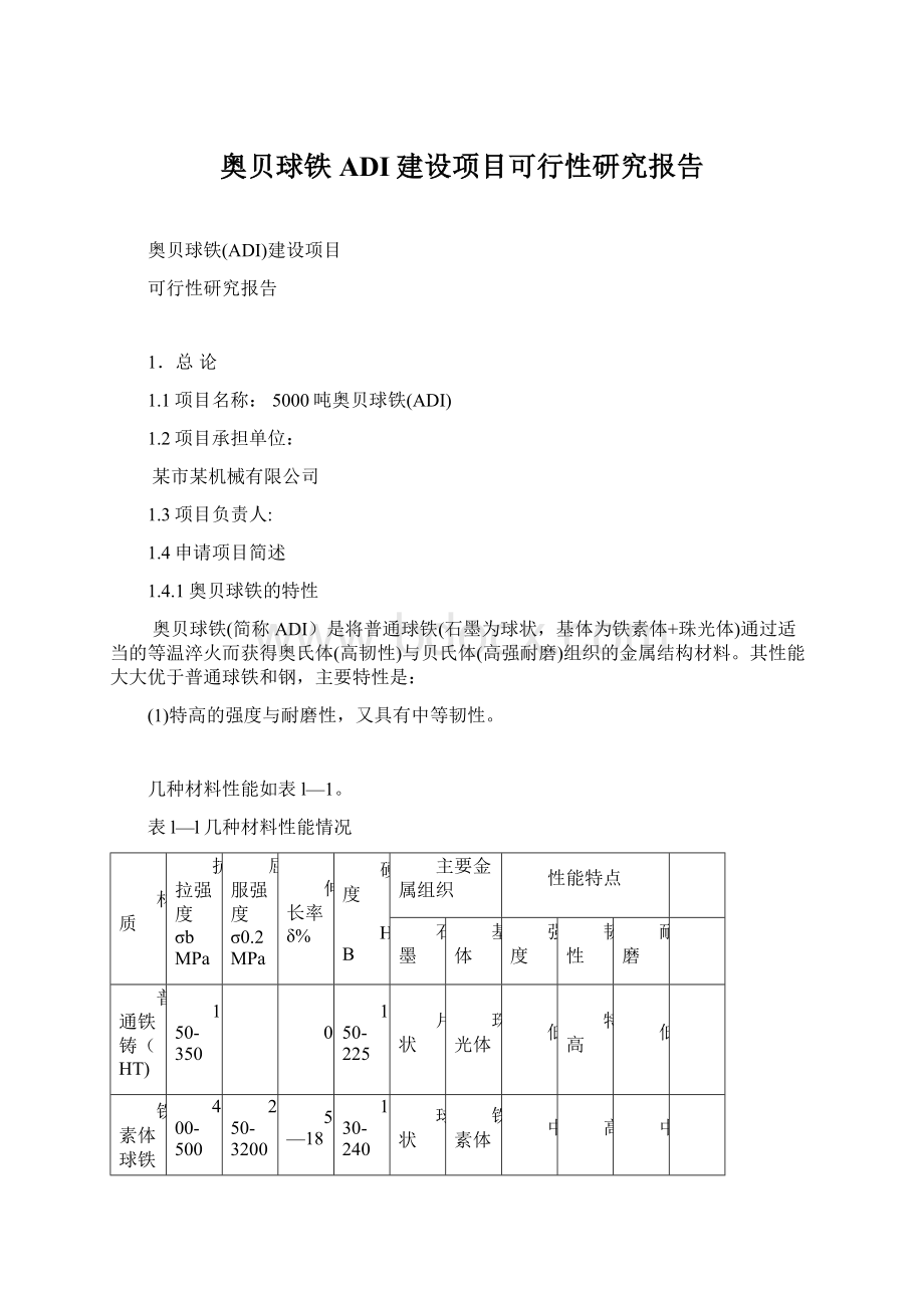 奥贝球铁ADI建设项目可行性研究报告.docx_第1页