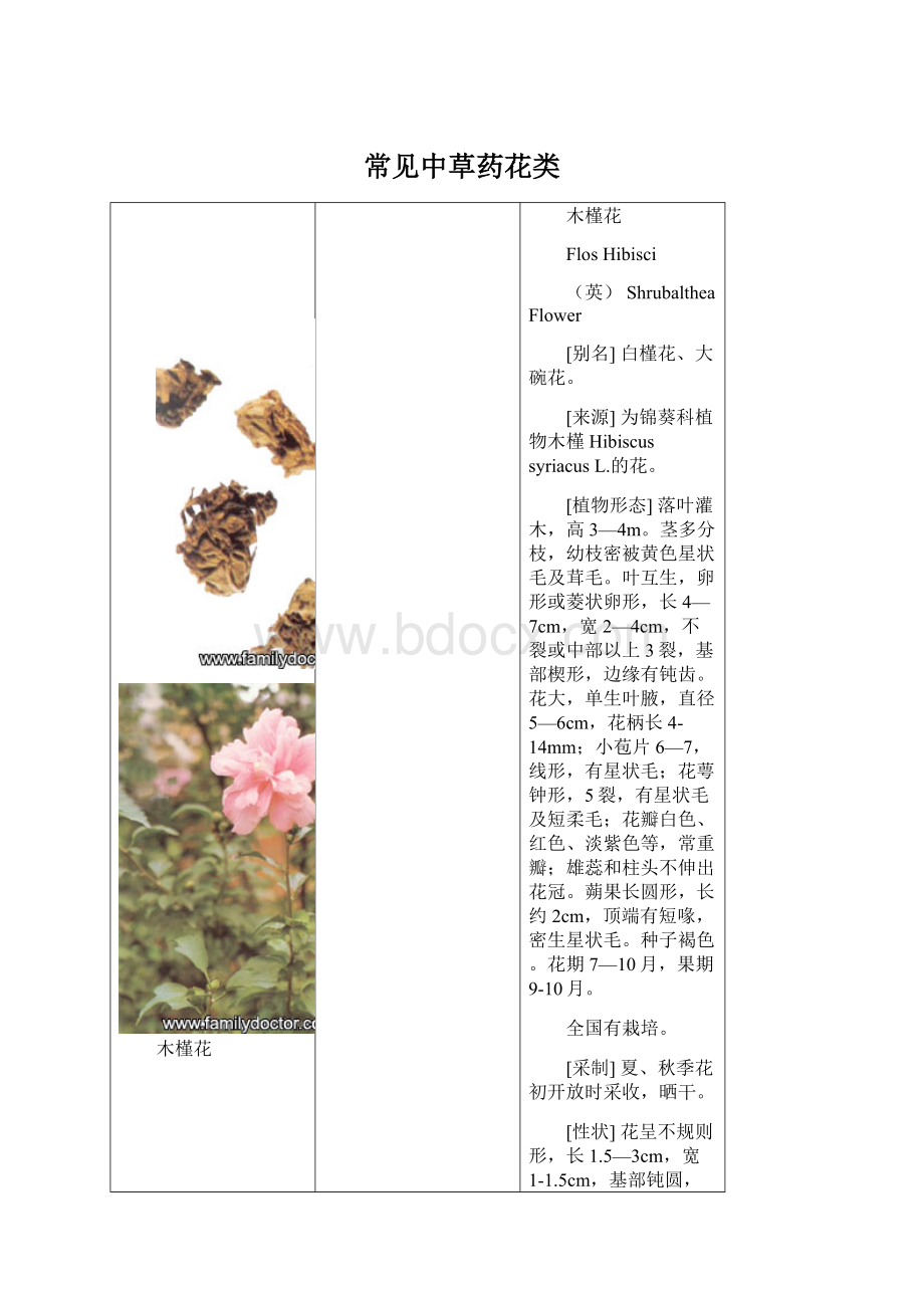 常见中草药花类Word格式文档下载.docx