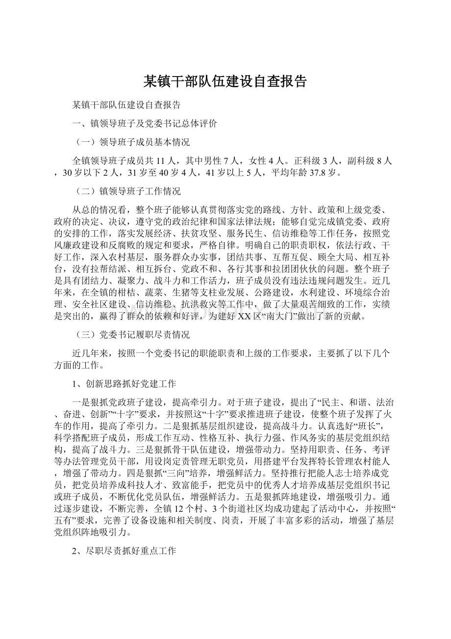 某镇干部队伍建设自查报告Word格式.docx