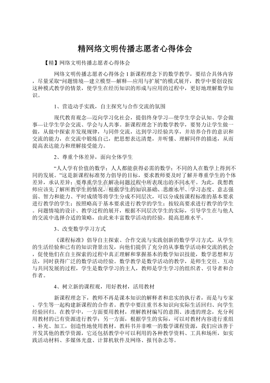 精网络文明传播志愿者心得体会.docx