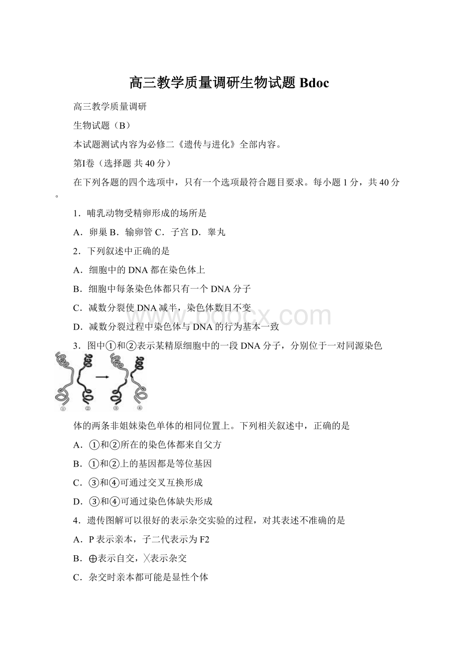 高三教学质量调研生物试题Bdoc.docx